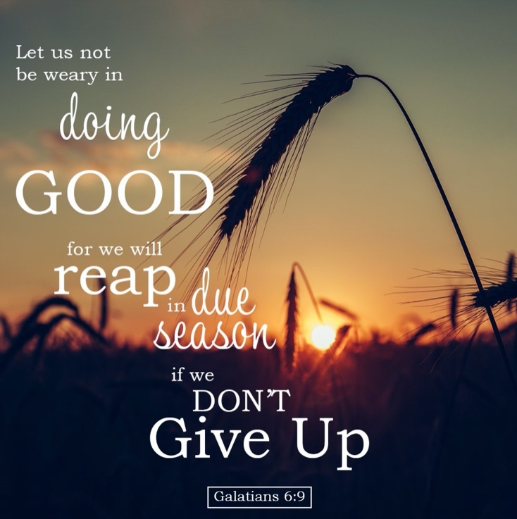 Do Not Grow Weary In Doing Good